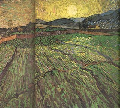 Vincent Van Gogh Enclosed Field with Risihng Sun (nn04) oil painting image